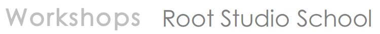 Root Studio School